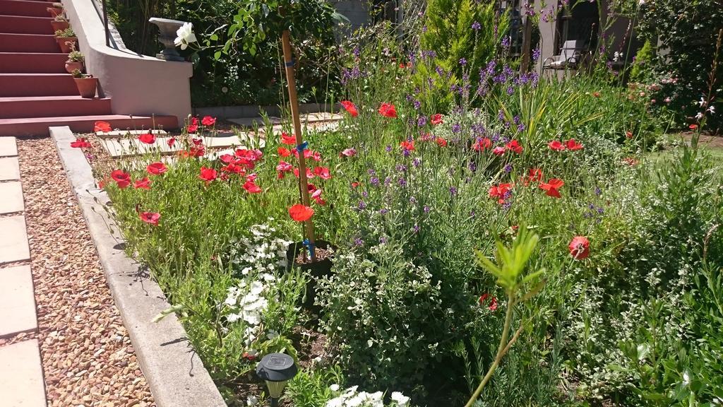Abigail'S Garden Cottage Монтегю Екстериор снимка